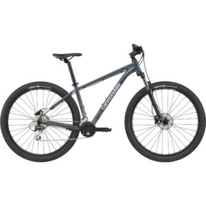 Bicicleta Cannondale Trail 6 Sub 2021 Cinza